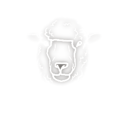 Logo Tashwool